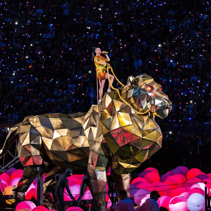 Katy Perry Superbowl Lion 2015 image