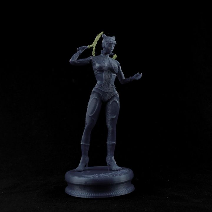 Catwoman - DC Supervillain image