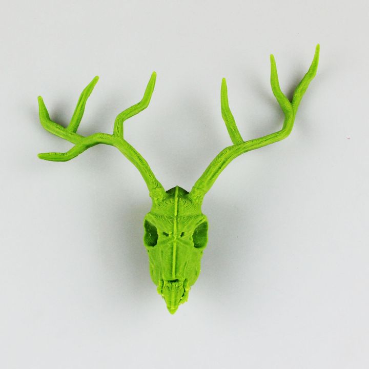 Vintage Deer Skull image