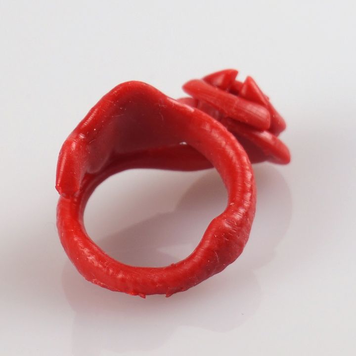 the Rose-Ring image