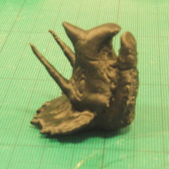 Triceratops head image
