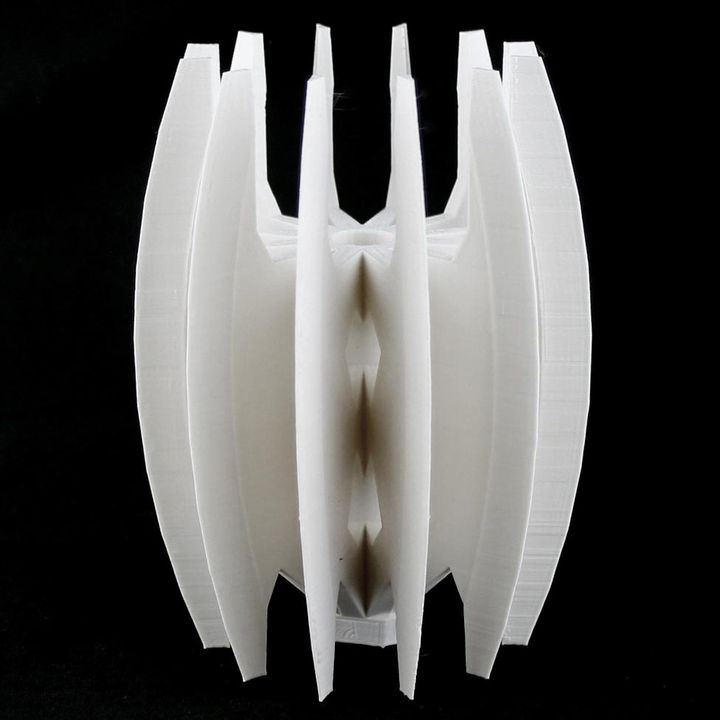 Gimli's Vase - 3D printed vase image