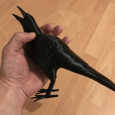 Picture of print of Crow - Support Free