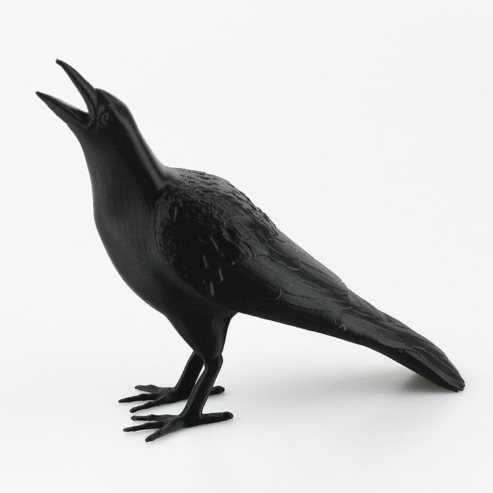 Crow - Support Free image