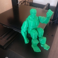 Picture of print of Hulk print-in-place