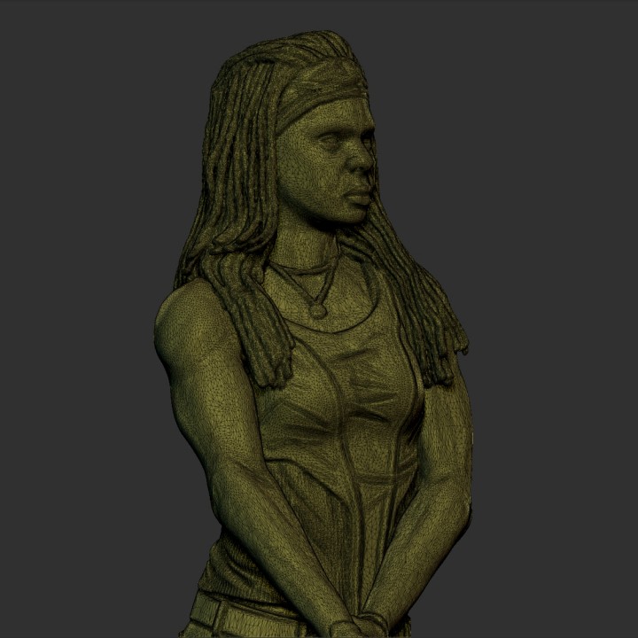 Michonne from The Walking Dead image