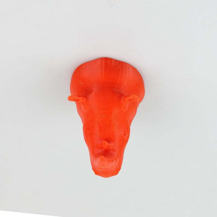 Rhino Taxidermy Coat Hook -(high and low poly versions included!) image