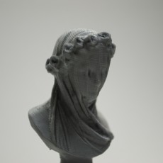 Picture of print of Veiled Lady at the Minneapolis Institute of Arts, USA