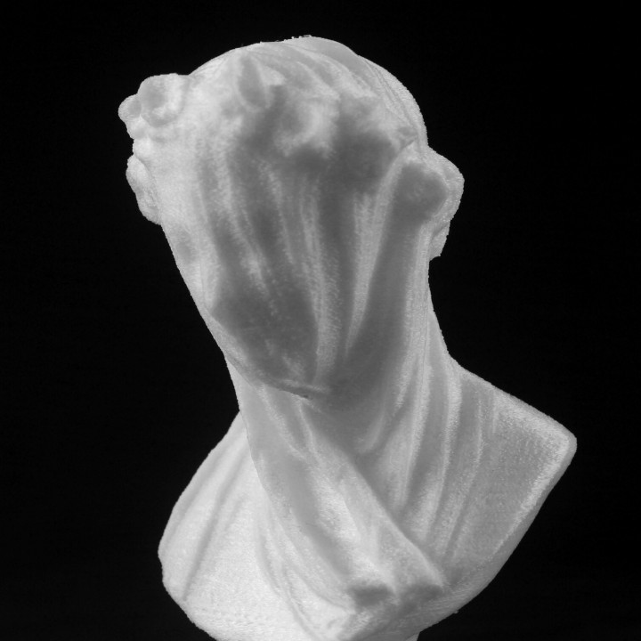 Veiled Lady at the Minneapolis Institute of Arts, USA image