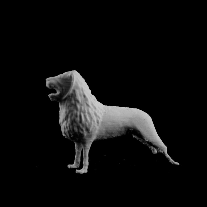 Brunswick Lion image