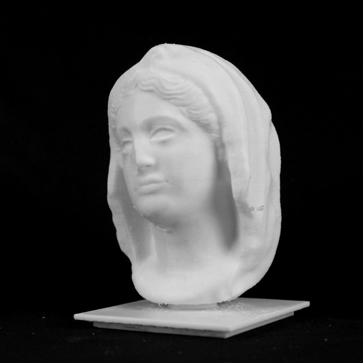 Veiled Woman at The Louvre, Paris image