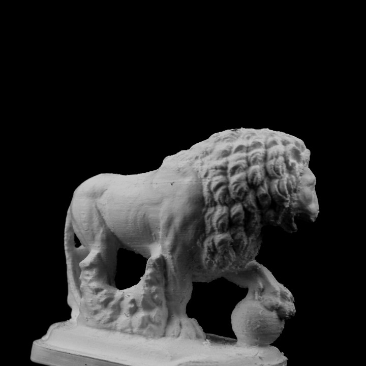 Lion in Florence, Italy image