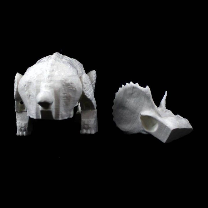 Triceratops print-in-place image