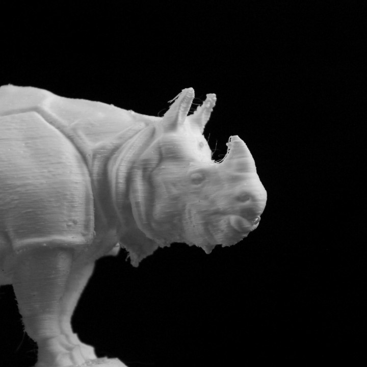 Rhinoceros at the Museum d'Orsay, Paris image