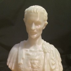 Picture of print of Julius Caesar at The Metropolitan Museum of Art, New York
