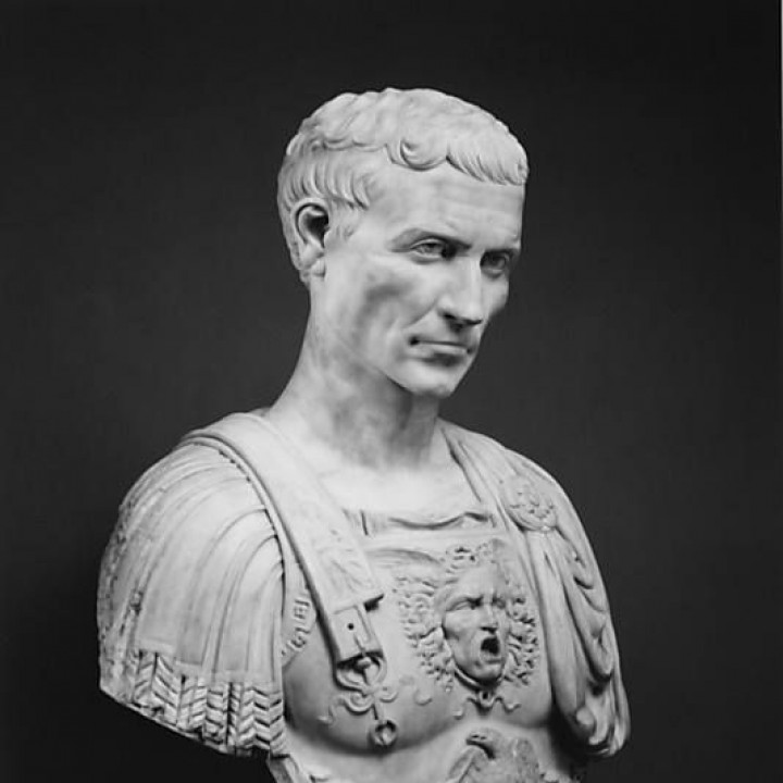 Julius Caesar at The Metropolitan Museum of Art, New York image