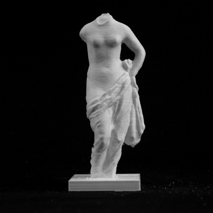 Aphrodite holding her Drapery at The Louvre, Paris image