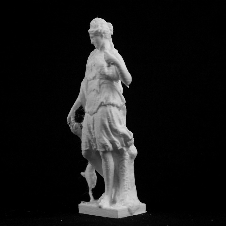 Diana at The Louvre, Paris image