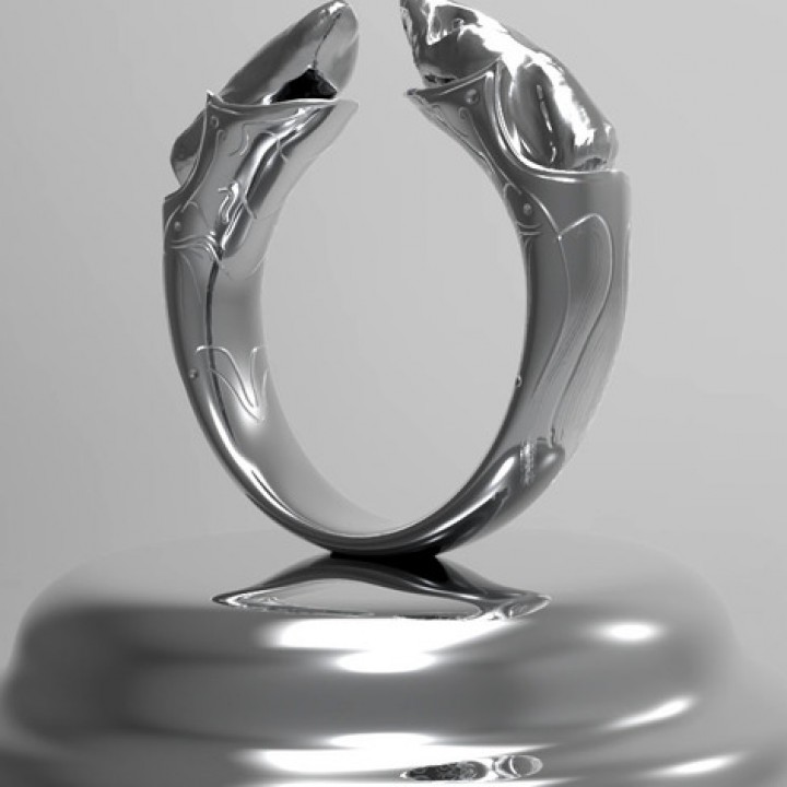 Prop ring image