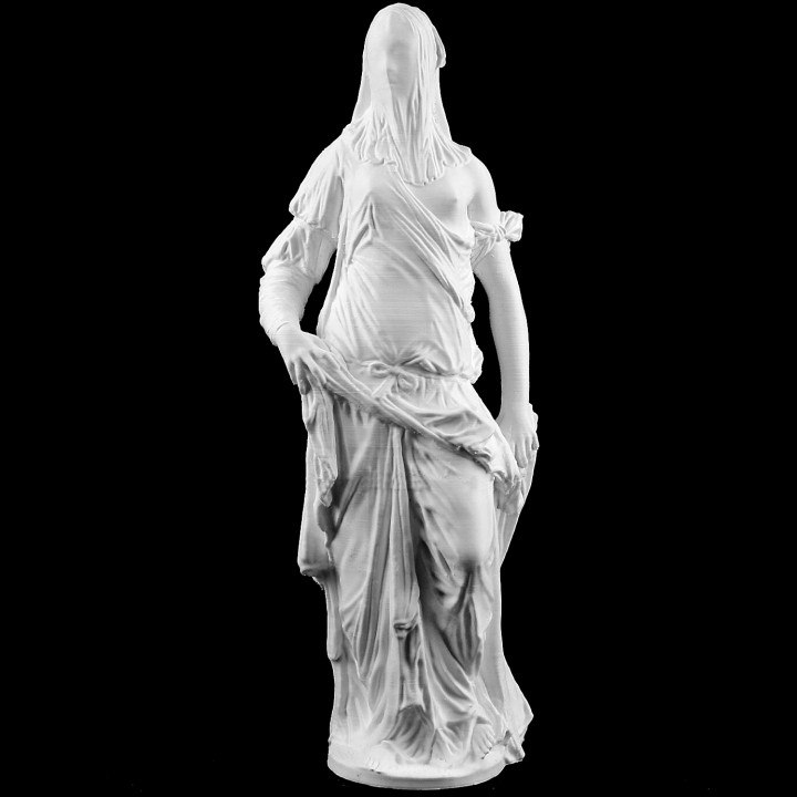 Veiled Woman at The Louvre, Paris image