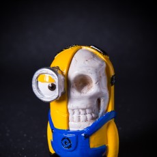 Picture of print of Anatomical Minion
