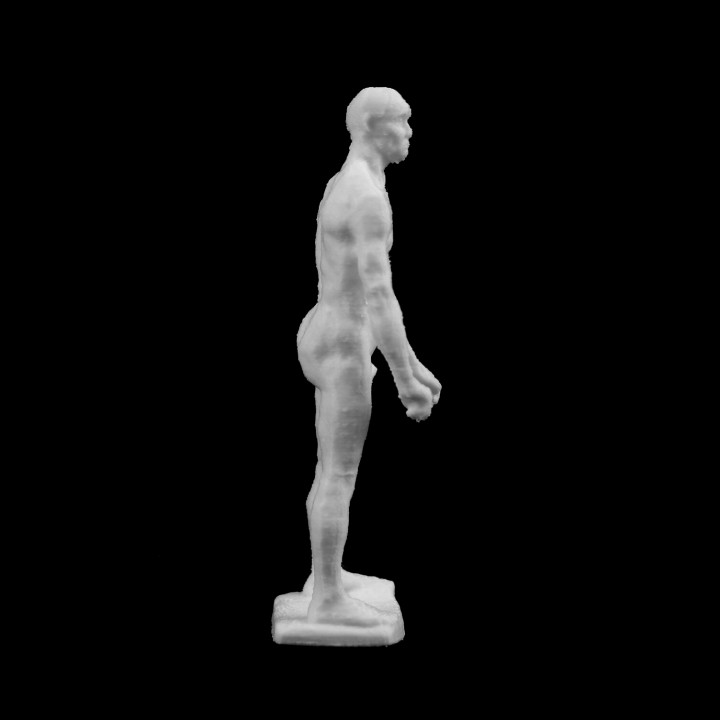 Jean d'Aire Nude Study at The Musée Rodin, Paris image