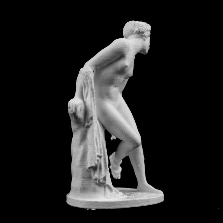 Eurydice Dying at The Louvre, Paris image