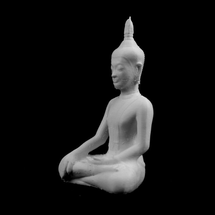 Maravijaa Buddha at The Guimet Museum, Paris image