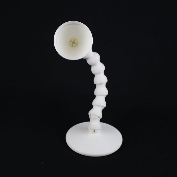 Articulated lamp image
