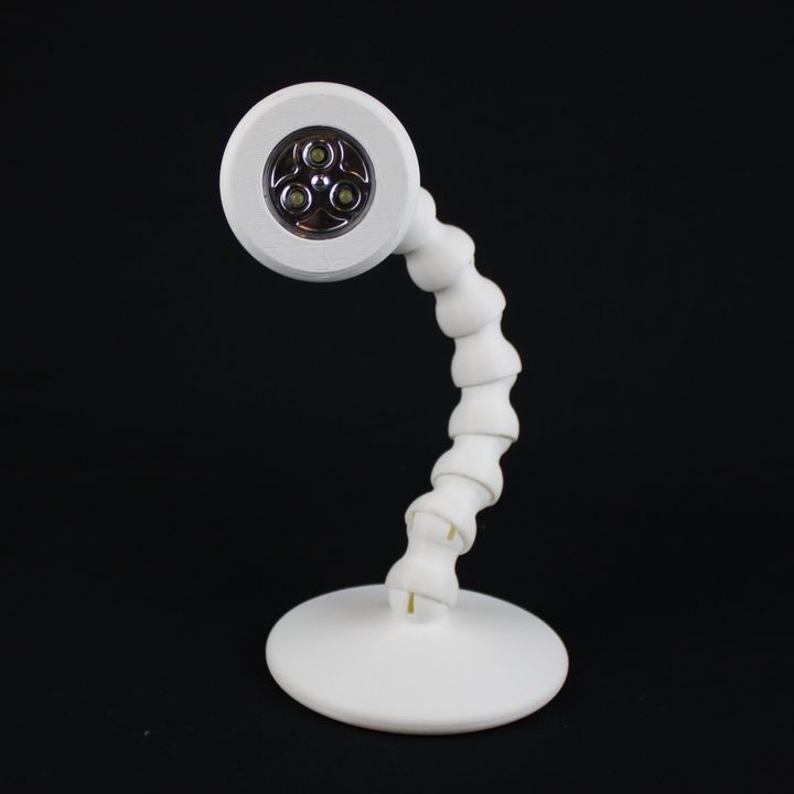Articulated lamp image