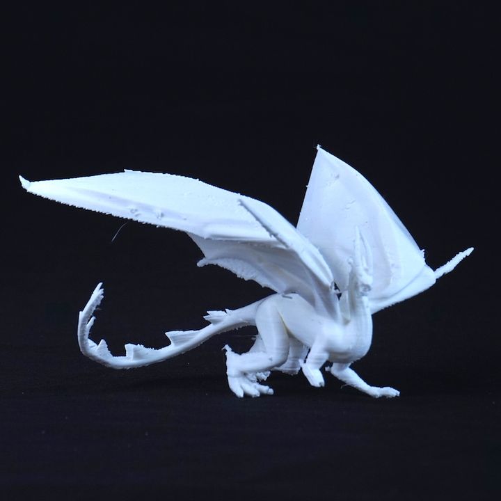 Dragon 2.5 image