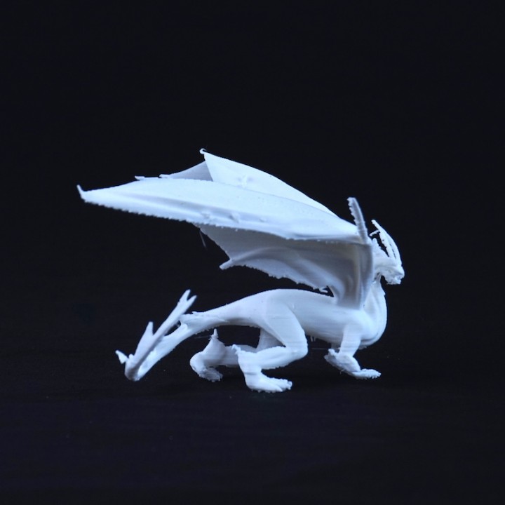 Dragon 2.5 image
