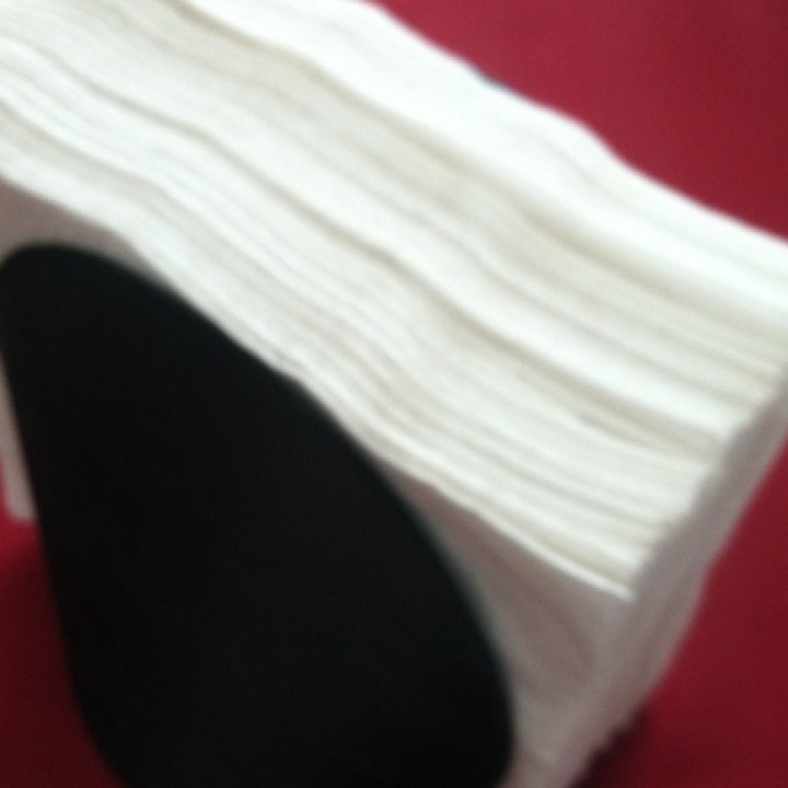 Customizable napkin holder image