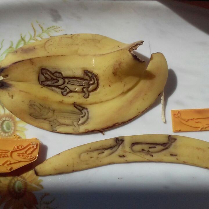 Crocodile Stamp (for banana skin, toast and other uses) image
