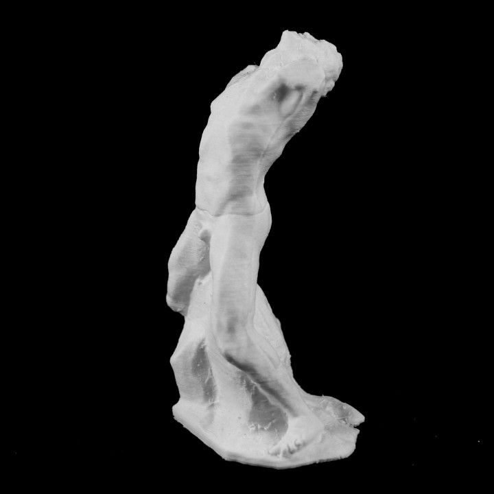 The Falling Man at The Musée Rodin, Paris image