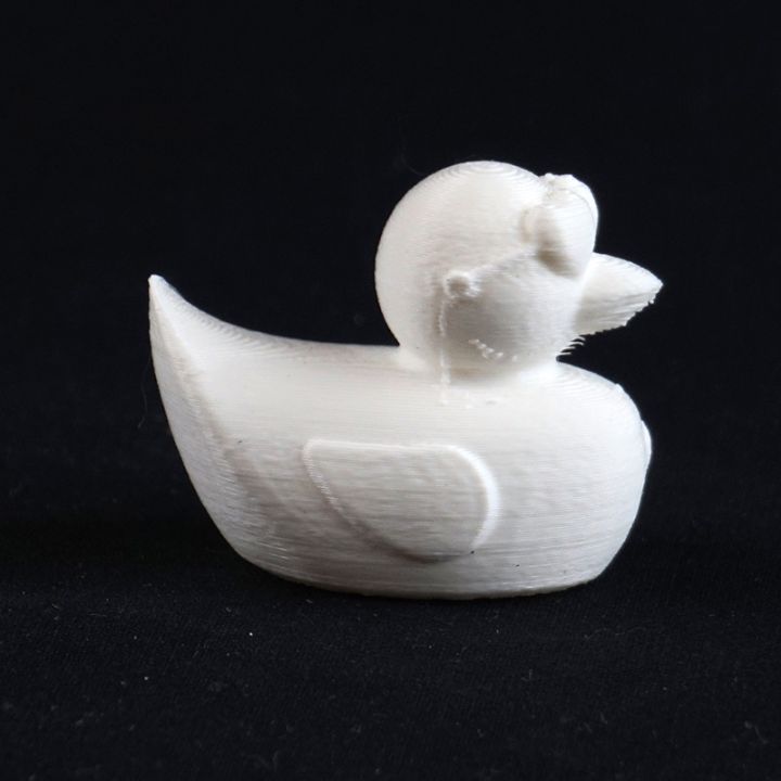 3DPrinterOS Male Valentines Duck image