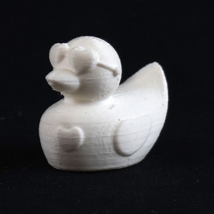 3DPrinterOS Male Valentines Duck image