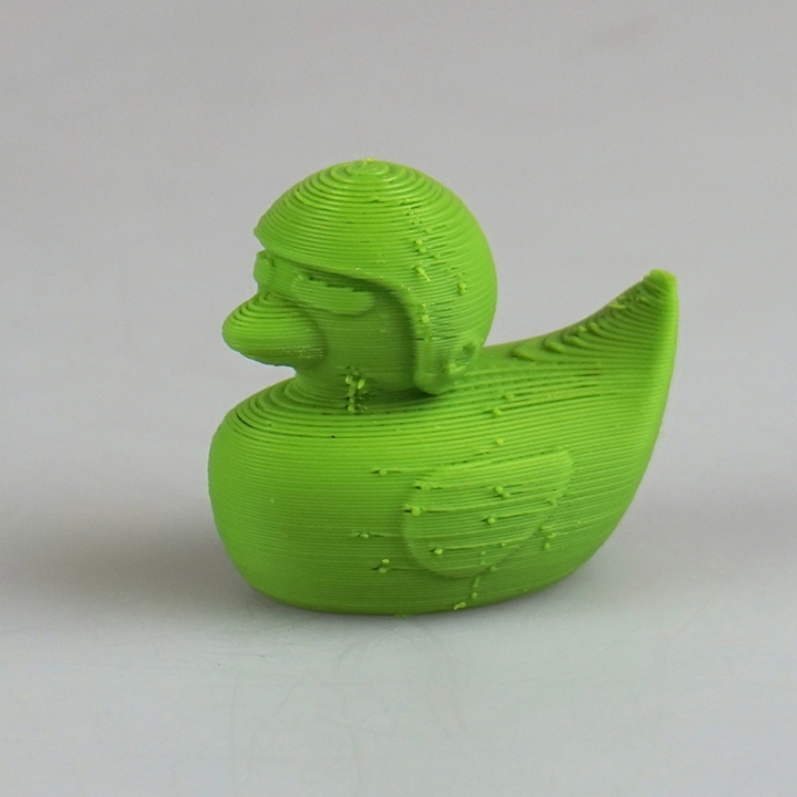 3DPrinterOS Skeptical Duck image