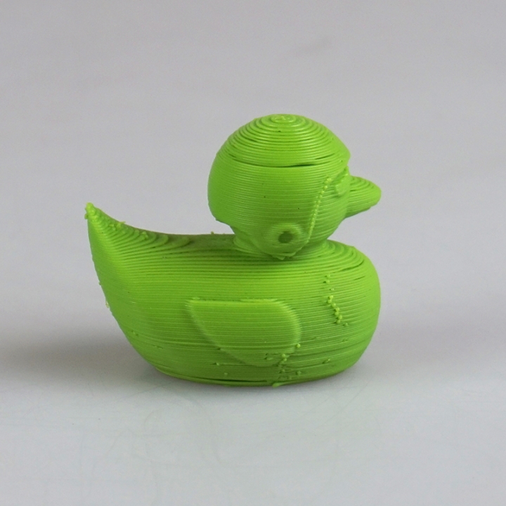3DPrinterOS Skeptical Duck image