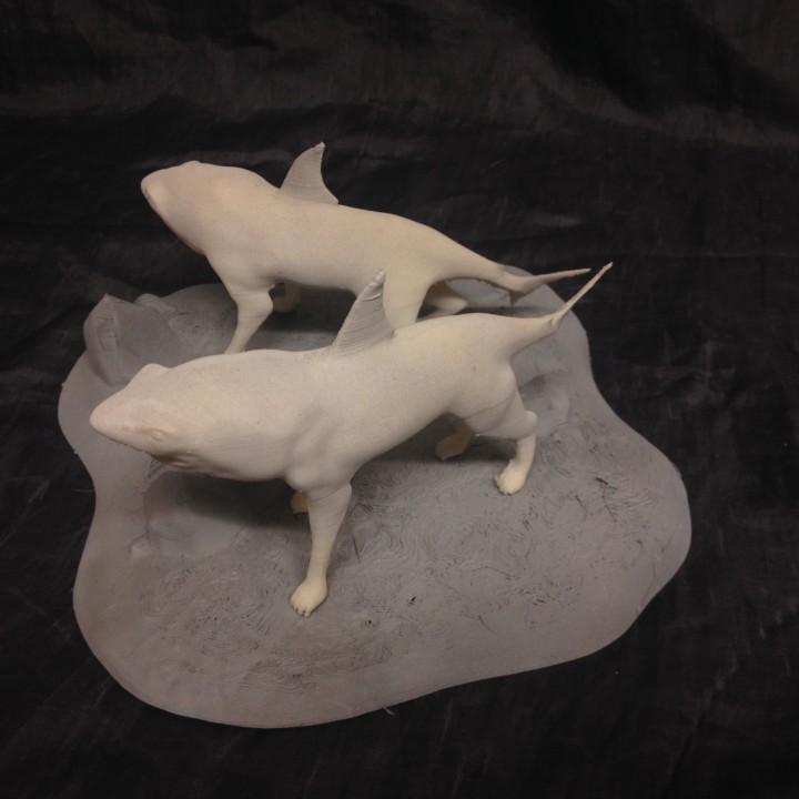 SharkDogs with Base image
