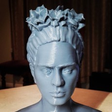 Picture of print of Frida Kahlo Bust