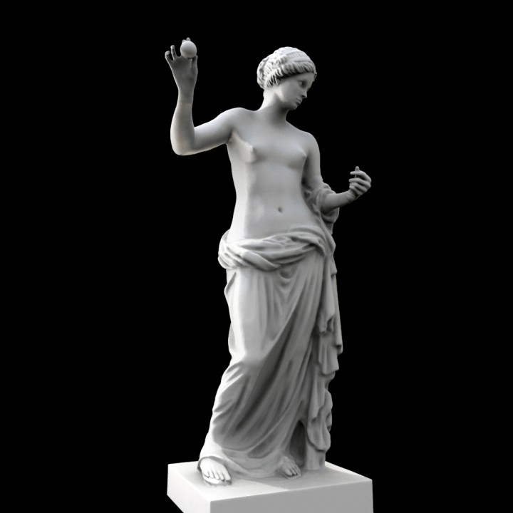 Venus of Arles at The Louvre, Paris image
