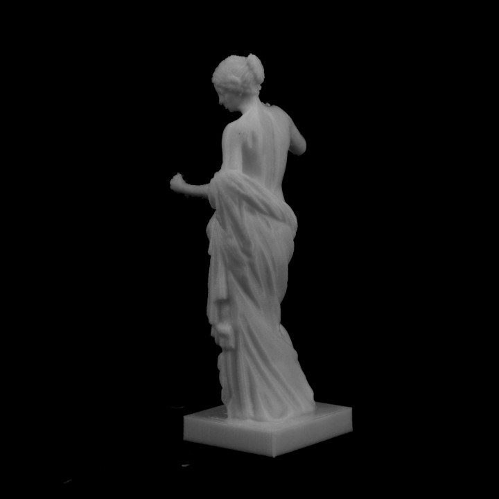 Venus of Arles at The Louvre, Paris image
