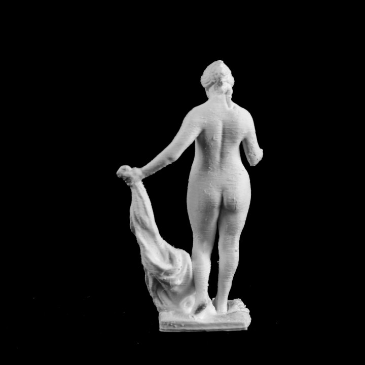 Venus Victrix at the Petit Palais, Paris image