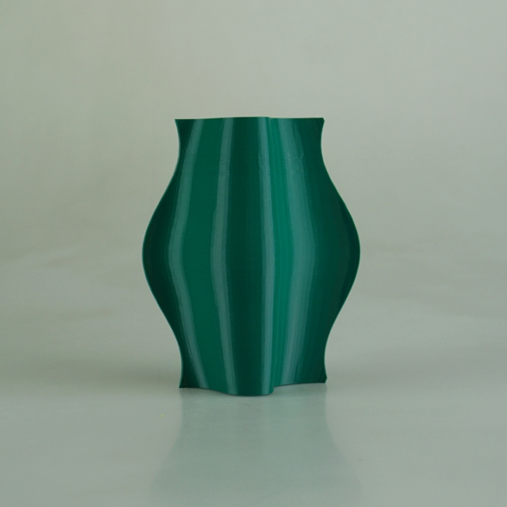 The Vase image
