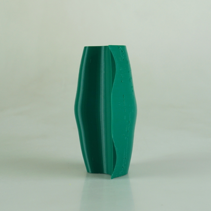 The Vase image