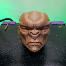 Picture of print of Monster Ogre head