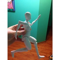 Picture of print of Articulated Figure - No Support