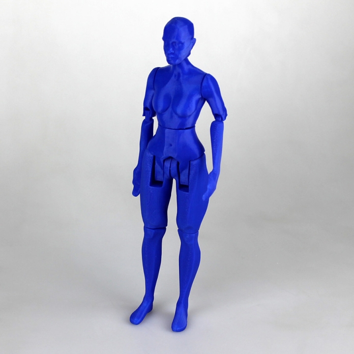 Articulated Figure - No Support image