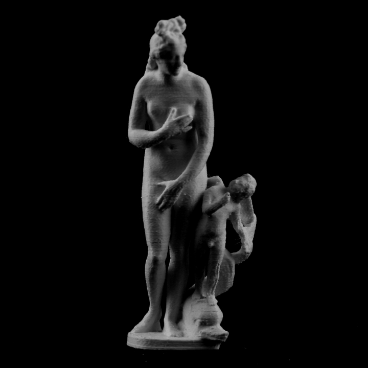 Capitoline Venus at The Louvre, Paris image